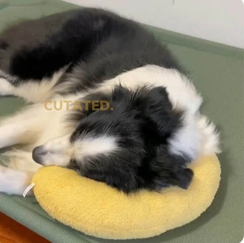 ALMOHADA PARA PERRITO