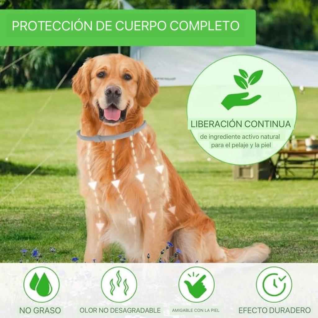 COLLAR ANTIPULGAS