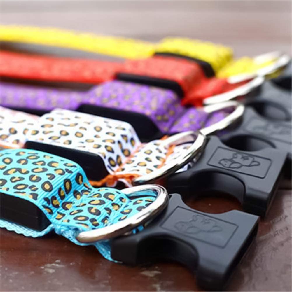 Collar LED de Nylon para Perros – ¡Seguridad y estilo para tu peludo, día y noche! 🐾