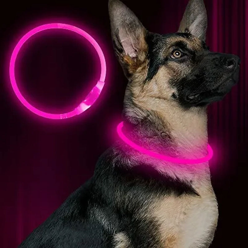 COLLAR LED PARA MASCOTAS