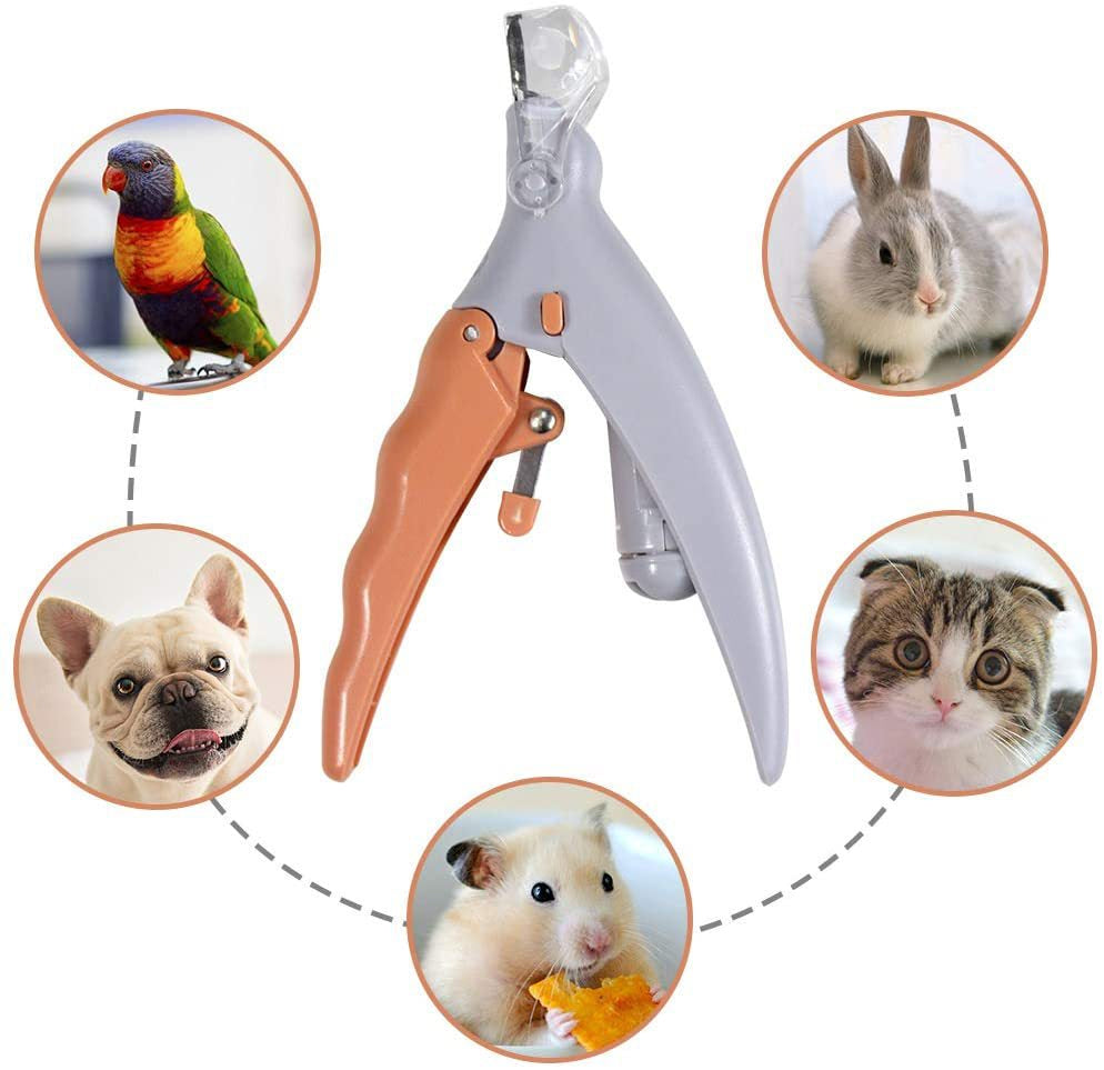 CORTA UÑAS CON LUZ PARA PERRITOS