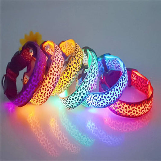 Collar LED de Nylon para Perros – ¡Seguridad y estilo para tu peludo, día y noche! 🐾