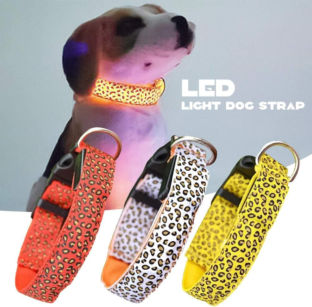 Collar LED de Nylon para Perros – ¡Seguridad y estilo para tu peludo, día y noche! 🐾