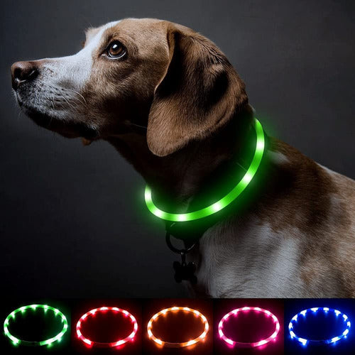 COLLAR LED PARA MASCOTAS